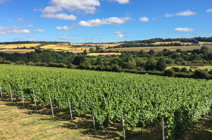 View across the fields