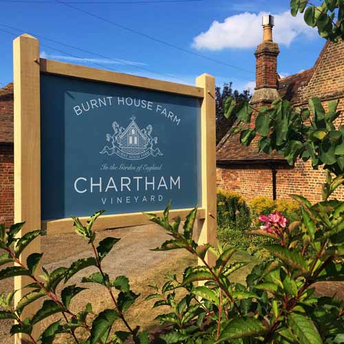 Chartham Vineyard